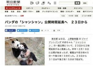 熊猫天天最新新闻爆料,最新热点事件内幕曝光  第1张