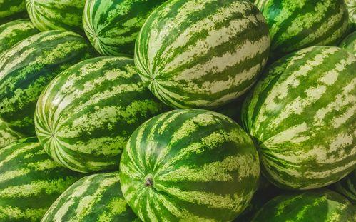 中山网红吃瓜群叫什么,揭秘背后故事与热门话题  第1张