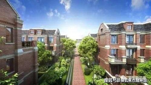 五月高招解斑最新爆料,最新爆料揭示神秘力量！”  第2张